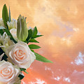 White Roses Orange Sunset